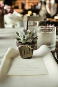 wedding favor succulents 1