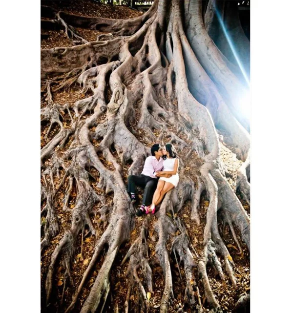 Engagement Photo Shoot - Couple In Tree Roots At Balboa Park